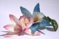 /album/marcipanove-kvety/dsc09038-h-jpg/